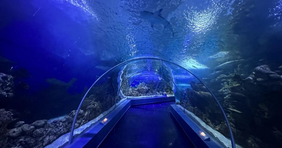 Apa yang Harus Dilakukan di Jeddah pada Kunjungan Pertama Anda? (10 Hal yang Harus Dilakukan)