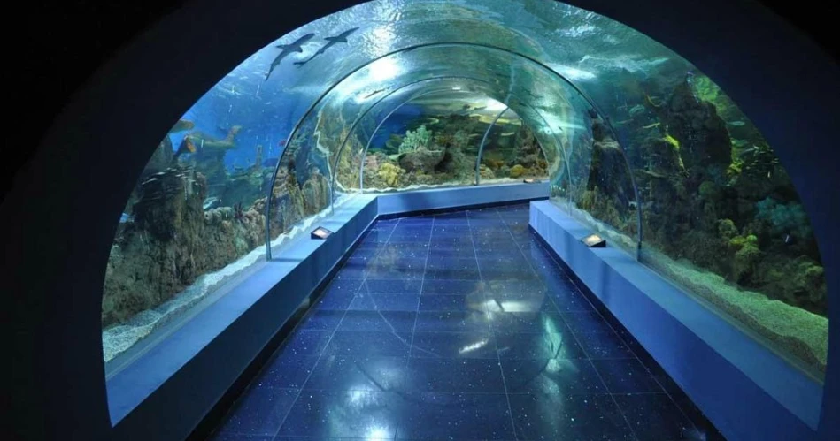 Apa yang Harus Dilakukan di Jeddah pada Kunjungan Pertama Anda? (10 Hal yang Harus Dilakukan)