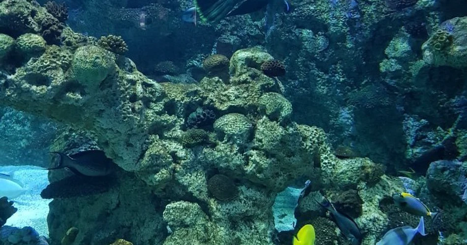 What to Do In 48 Hours in Jeddah?