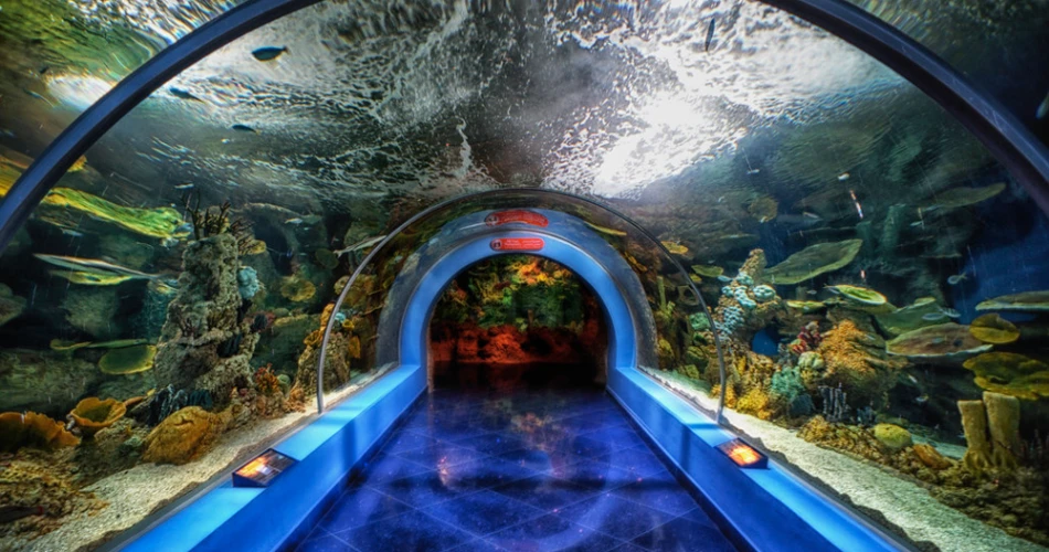 Best 10 Must-Visit Attractions in Jeddah for Every Traveler 